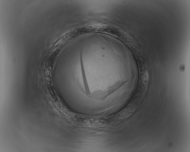 X0000116651397200912291606