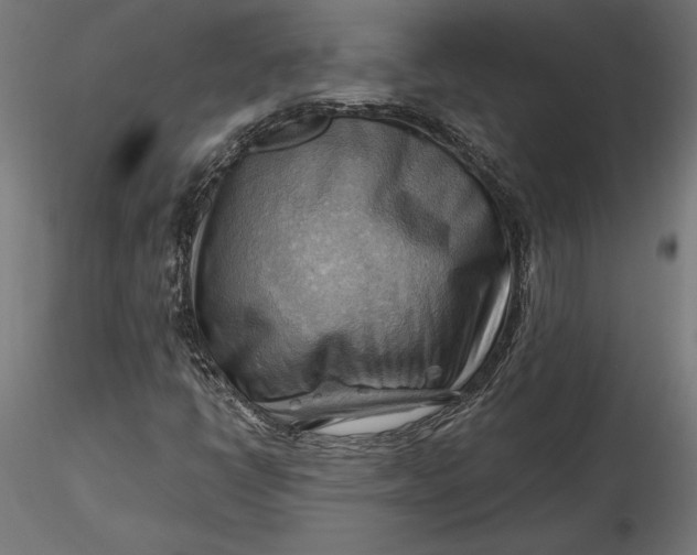 X0000116651398200912291606