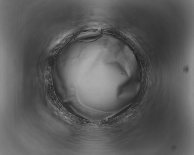 X0000116651399200912291606