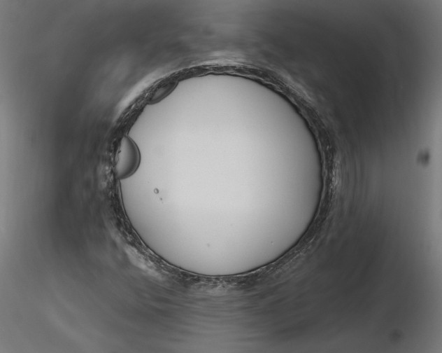 X0000116651400200912291606