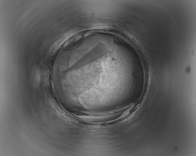 X0000116651401200912291606
