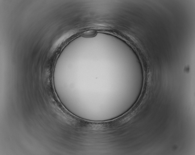 X0000116651402200912291606