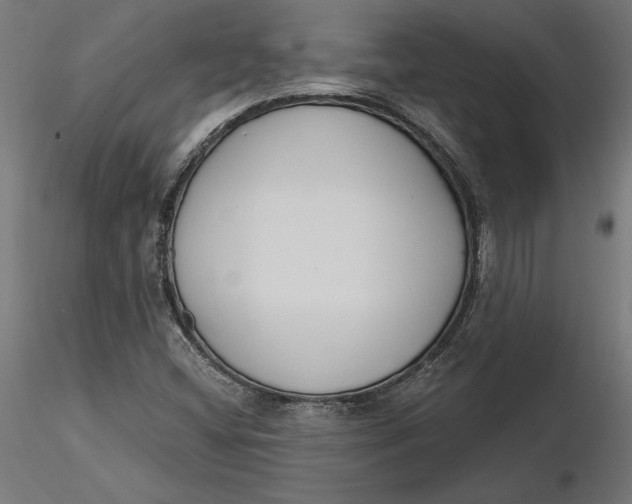 X0000116651404200912291606