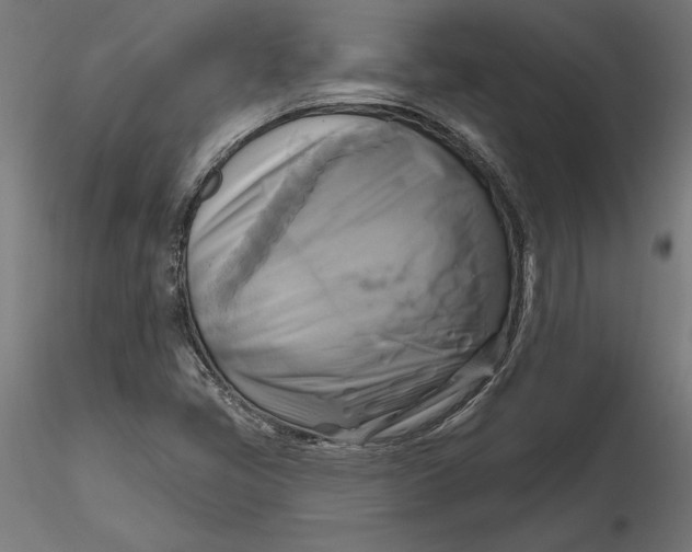 X0000116651405200912291606
