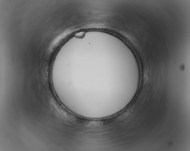 X0000116651406200912291606