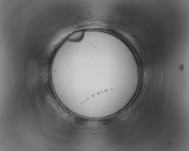 X0000116651407200912291606