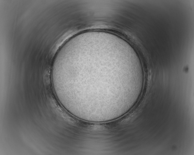 X0000116651409200912291606