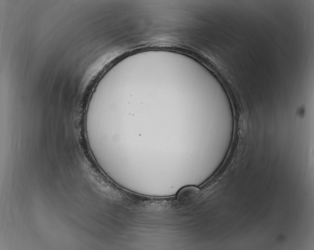 X0000116651410200912291606