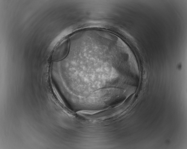 X0000116651411200912291606