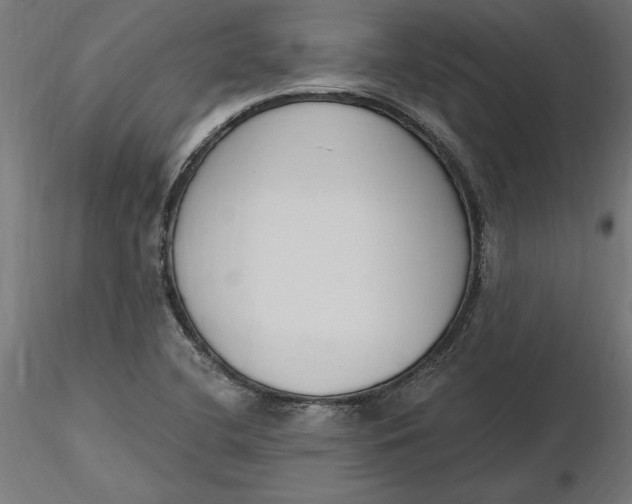 X0000116651412200912291606
