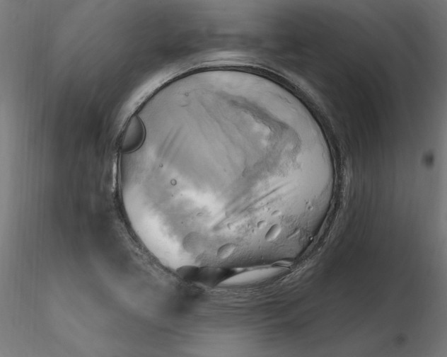 X0000116651413200912291606