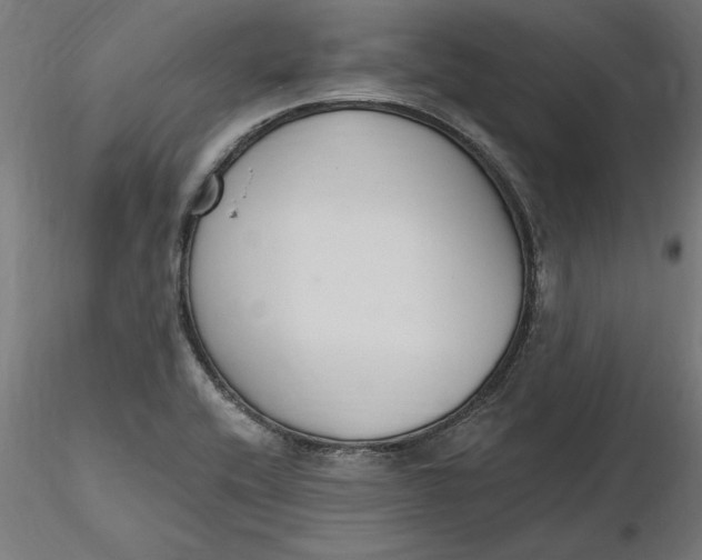X0000116651416200912291607