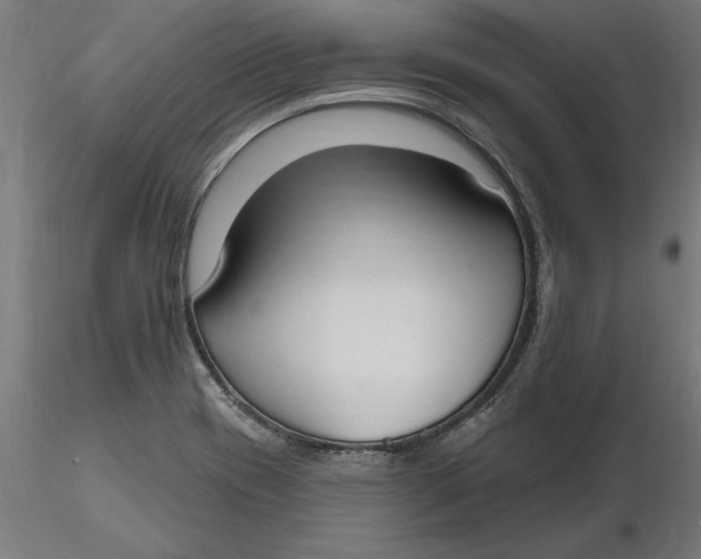 X0000116651417200912291607