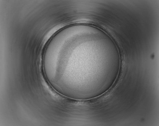 X0000116651418200912291607