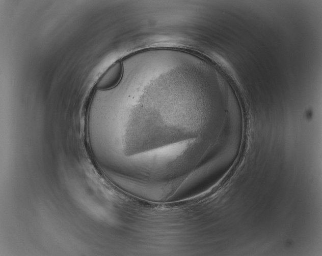 X0000116651419200912291607
