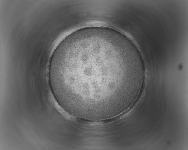 X0000116651421200912291607