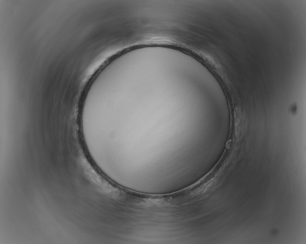 X0000116651422200912291607