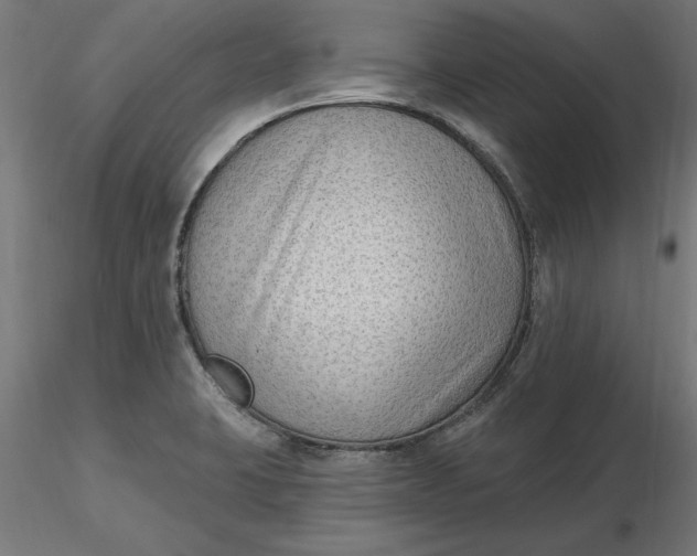 X0000116651423200912291607