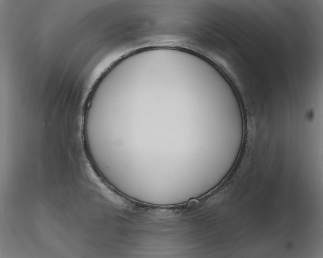 X0000116651424200912291607