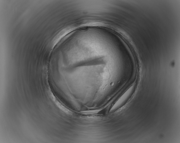 X0000116651425200912291607