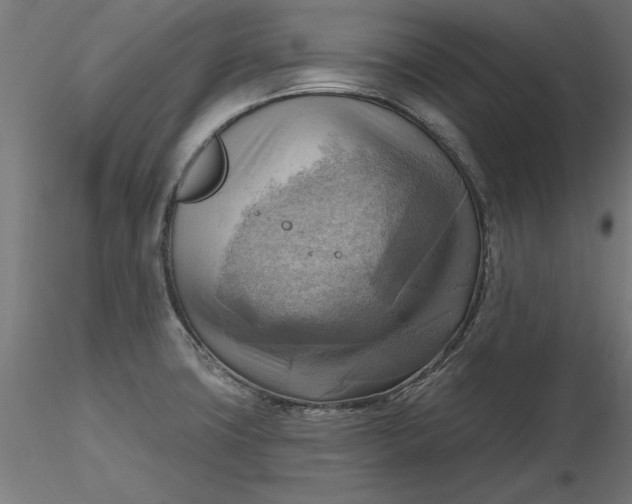 X0000116651427200912291607
