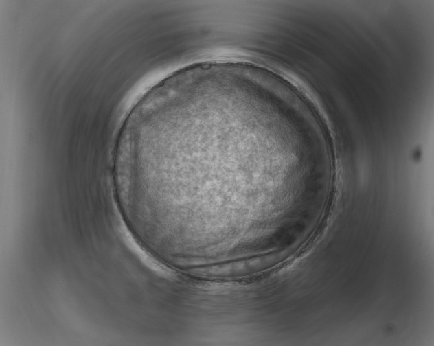 X0000116651429200912291607
