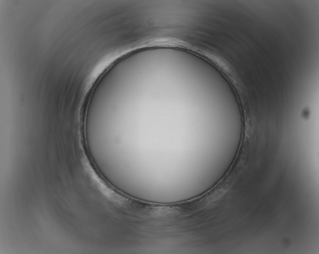 X0000116651430200912291607