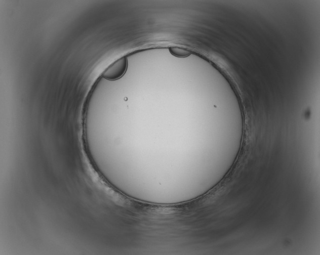 X0000116651431200912291607