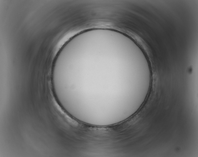 X0000116651432200912291607