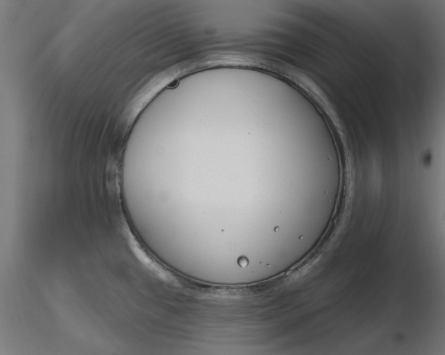 X0000116651433200912291607