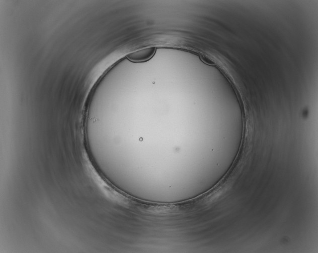 X0000116651434200912291607