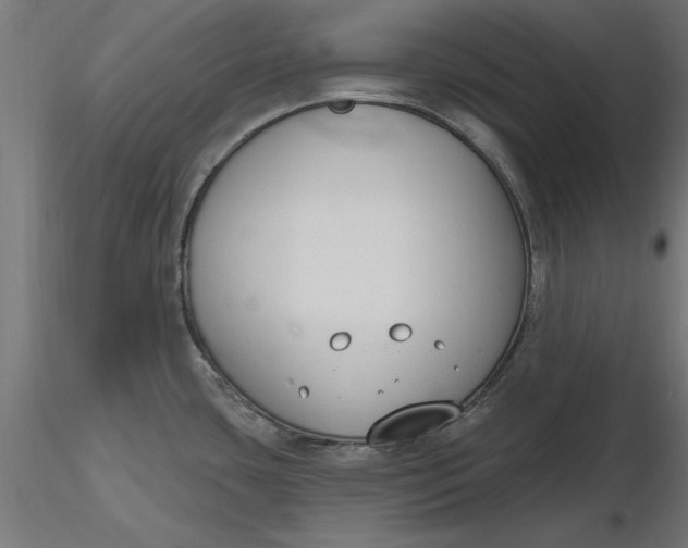 X0000116651435200912291607