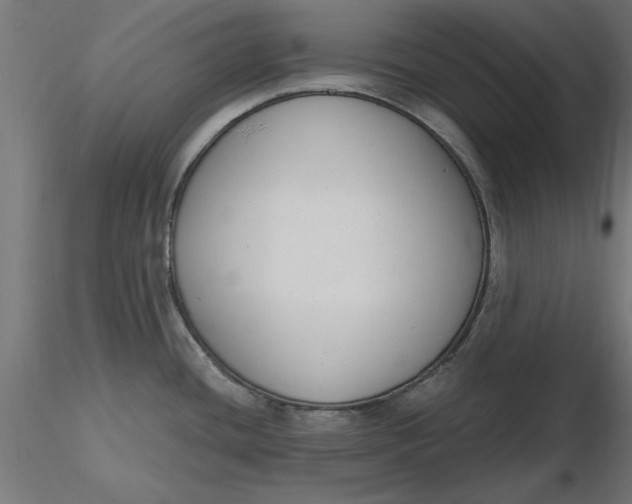 X0000116651436200912291607