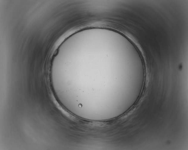 X0000116651437200912291607