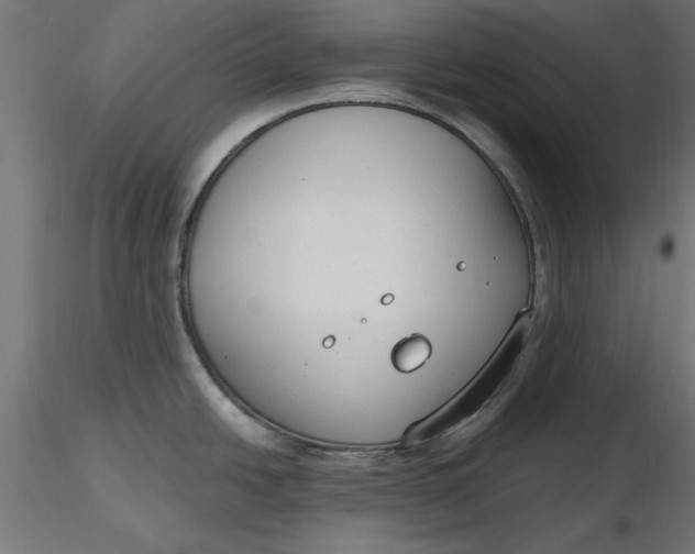 X0000116651438200912291607