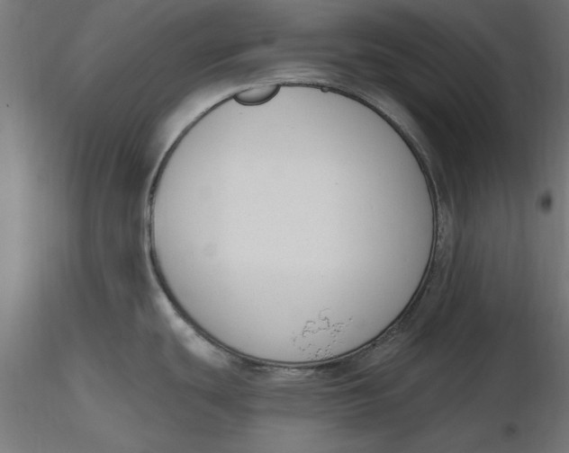 X0000116651439200912291607
