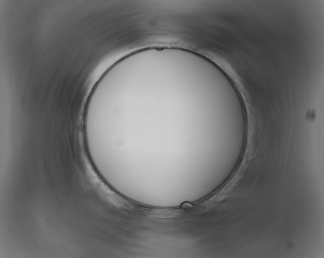 X0000116651440200912291607