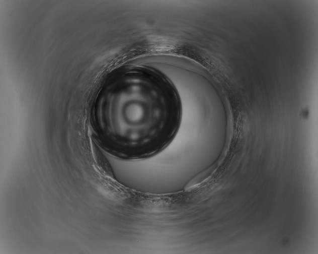 X0000116651441200912291606