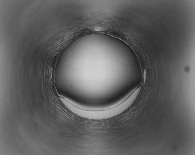 X0000116651443200912291606