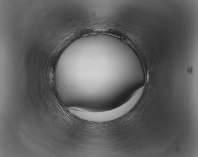 X0000116651444200912291606