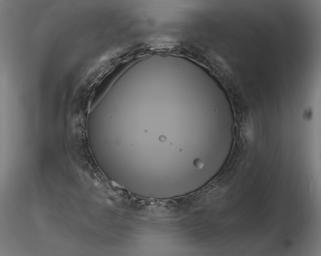 X0000116651445200912291606