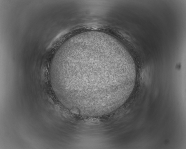 X0000116651446200912291606
