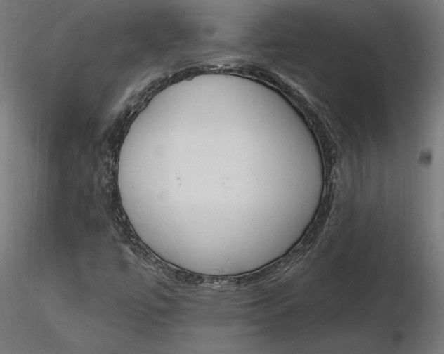 X0000116651447200912291606