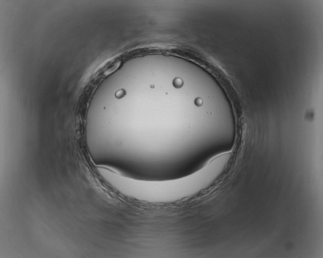 X0000116651448200912291606