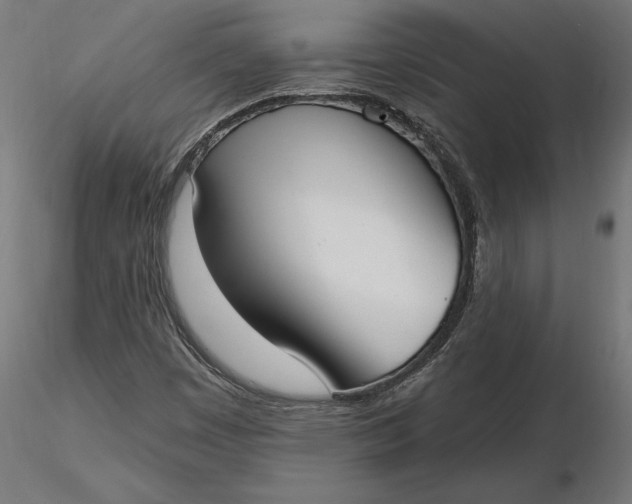 X0000116651449200912291606