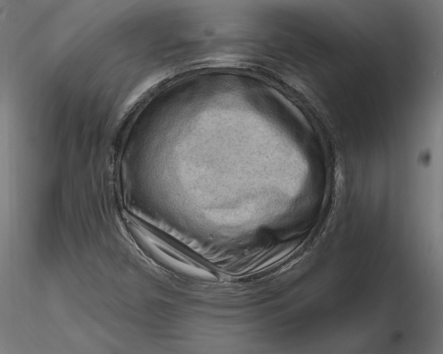 X0000116651450200912291606