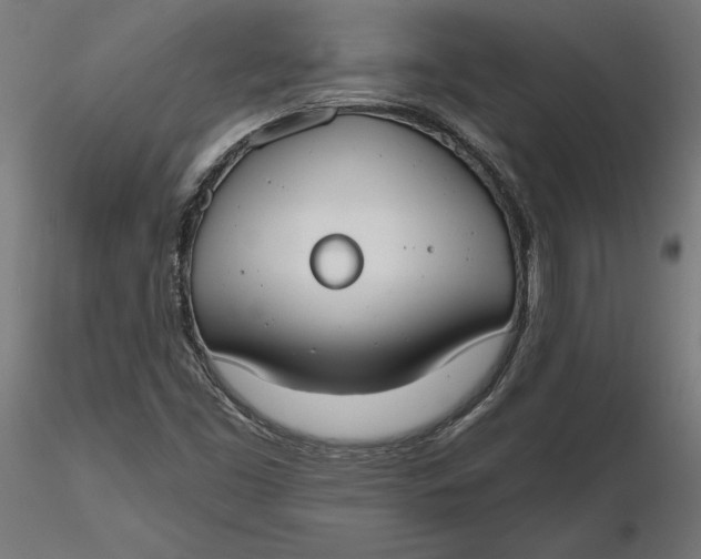 X0000116651453200912291606