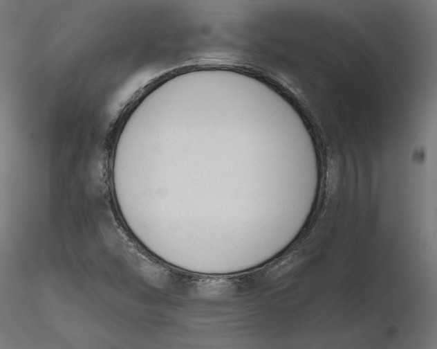 X0000116651454200912291606