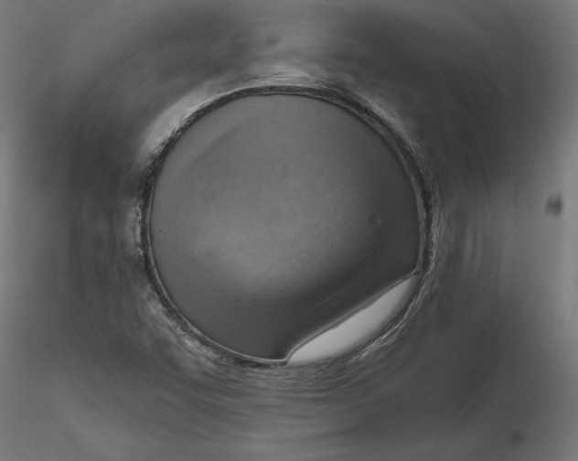 X0000116651455200912291606