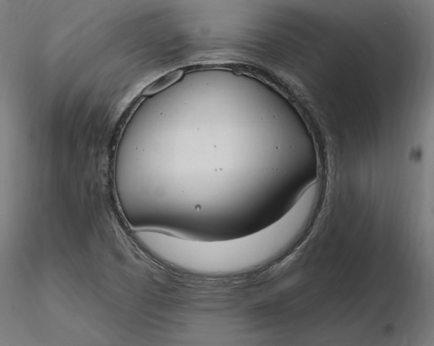 X0000116651457200912291606